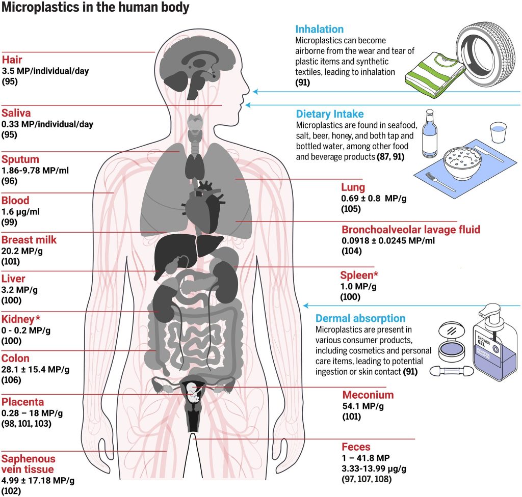 Як мікропластик потравляє в організм людини